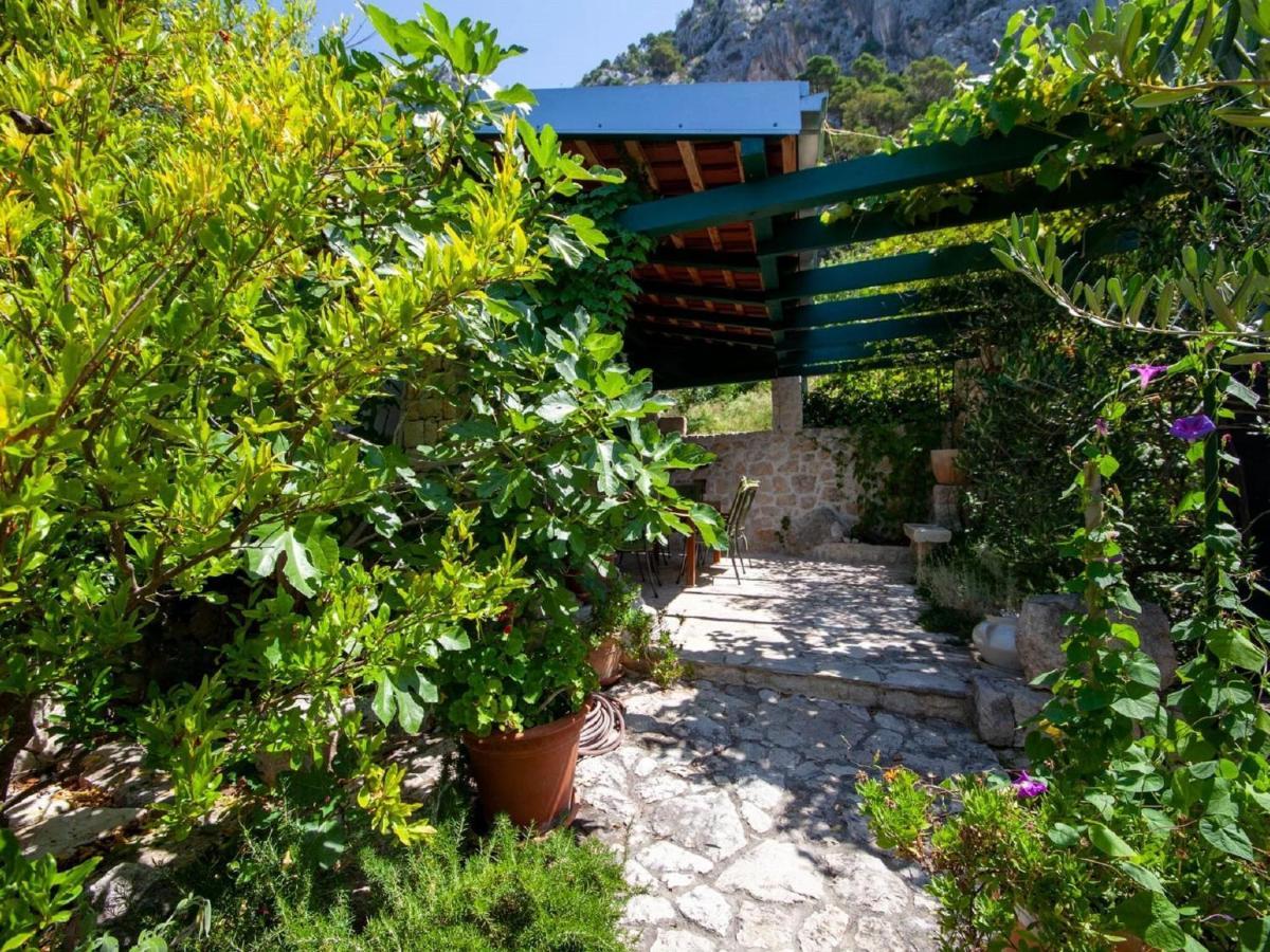 Luxurious Holiday Home In Makarska With Jacuzzi Exterior foto
